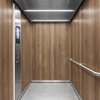 3M DI-NOC interieurfolie DW-1874MT - Dry Wood - Special Matte Design , 1220 mm x 50 m