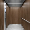 3M Di-Noc Film décoratif d'intérieur DW-1899MT - Dry Wood - Spécial mat , 1220 mm x 50 m