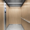 3M Di-Noc Film décoratif d'intérieur mat DW-2202MT - Dry Wood - Spécial mat , 1220 mm x 50 m