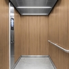 3M Di-Noc Film décoratif d'intérieur DW-2209MT - Dry Wood - Spécial mat , 1220 mm x 50 m