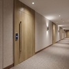 3M Di-Noc Film décoratif d'intérieur DW-2472MT - Dry Wood - Spécial mat, 1220 mm x 50 m