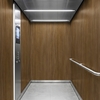 3M Di-Noc Film décoratif d'intérieur DW-2475MT - Dry Wood - Spécial mat, 1220 mm x 50 m
