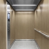 3M Di-Noc Film décoratif d'intérieur DW-2478MT - Dry Wood - Spécial mat, 1220 mm x 50 m