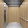3M DI-NOC interieurfolie DW-2479MT - Dry Wood - Special Matte Design, 1220 mm x 50 m