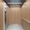 3M DI-NOC interieurfolie FW-1129 - Fine Wood, 1220 mm x 50 m