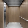 Film décoratif 3M Di-Noc FW-1212 - Fine Wood, 1220 mm x 50 m