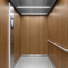 Film décoratif 3M Di-Noc FW-1286 - Fine Wood, 1220 mm x 50 m