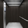 3M Di-Noc Film décoratif d'intérieur FW-1751 - Fine Wood, 1220 mm x 50 m