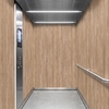 Film décoratif 3M Di-Noc FW-1766 - Fine Wood, 1220 mm x 50 m