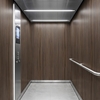 3M DI-NOC interieurfolie FW-1770 - Fine Wood, 1220 mm x 50 m