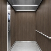 3M Di-Noc Film décoratif d'intérieur FW-1983 - Fine Wood, 1220 mm x 50 m