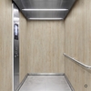 3M DI-NOC interieurfolie FW-2425 - Fine Wood, 1220 mm x 50 m