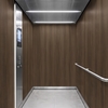 3M Di-Noc Film décoratif d'intérieur FW-2427 - Fine Wood, 1220 mm x 50 m