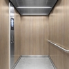 3M Di-Noc Film décoratif d'intérieur FW-336 - Fine Wood, 1220 mm x 50 m