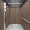 3M Di-Noc Film décoratif d'intérieur série AR, FW-337AR - Fine Wood -  1220 mm x 25 m