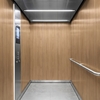 3M Di-Noc Film décoratif d'intérieur PW-2305MT - Premium Wood - Spécial mat, 1220 mm x 50 m