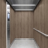3M Di-Noc Film décoratif d'intérieur PW-2310MT - Premium Wood - Spécial mat, 1220 mm x 50 m
