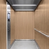3M Di-Noc Film décoratif d'intérieur WG-1141 - Wood Grain, 1220 mm x 50 m