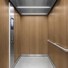 3M Di-Noc série EX pour l'extérieur WG-1143EX - Wood Grain - Exterior , 1220 mm x 50 m
