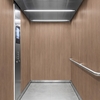 3M Di-Noc série EX pour l'extérieur WG-1144EX - Wood Grain - Exterior, 1220 mm x 50 m