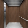 3M Di-Noc Film décoratif d'intérieur WG-1196 - Wood Grain, 1220 mm x 50 m