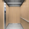 3M Di-Noc Film décoratif d'intérieur WG-1219 - Wood Grain, 1220 mm x 50 m