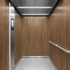 3M Di-Noc Film décoratif d'intérieur WG-1337 - Wood Grain, 1220 mm x 50 m