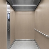 3M Di-Noc Film décoratif d'intérieur WG-1340 - Wood Grain, 1220 mm x 50 m