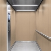 3M Di-Noc Film décoratif d'intérieur WG-1344 - Wood Grain, 1220 mm x 50 m