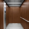 3M Di-Noc Film décoratif d'intérieur WG-157 - Wood Grain, 1220 mm x 50 m