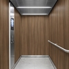 3M Di-Noc Film décoratif d'intérieur WG-1710 - Wood Grain, 1220 mm x 50 m