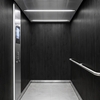 3M Di-Noc Film décoratif d'intérieur WG-1835 - Wood Grain, 1220 mm x 50 m