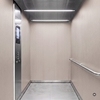 3M Di-Noc Film décoratif d'intérieur WG-1846 - Wood Grain, 1220 mm x 50 m
