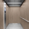 3M Di-Noc Film décoratif d'intérieur WG-2073 - Wood Grain, 1220 mm x 50 m
