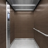 3M Di-Noc Film décoratif d'intérieur WG-2082H - Wood Grain, 1220 mm x 50 m