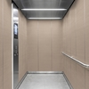3M Di-Noc Film décoratif d'intérieur WG-2083H - Wood Grain, 1220 mm x 50 m