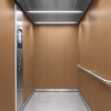 3M Di-Noc Film décoratif d'intérieur WG-2246 - Wood Grain, 1220 mm x 50 m