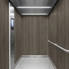 3M Di-Noc Film décoratif d'intérieur WG-2433 - Wood Grain, 1220 mm x 50 m