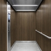 3M Di-Noc Film décoratif d'intérieur WG-2444 - Wood Grain, 1220 mm x 50 m