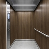 3M Di-Noc Film décoratif d'intérieur WG-2453 - Wood Grain, 1220 mm x 50 m