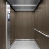 3M Di-Noc Film décoratif d'intérieur WG-2461 - Wood Grain, 1220 mm x 50 m