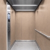 3M Di-Noc Film décoratif d'intérieur WG-247 - Wood Grain, 1220 mm x 50 m