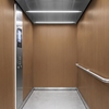 3M Di-Noc Film décoratif d'intérieur WG-2839 - Wood Grain, 1220 mm x 50 m