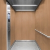 3M Di-Noc Film décoratif d'intérieur WG-453 - Wood Grain, 1220 mm x 50 m
