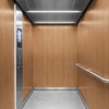 3M Di-Noc Film décoratif d'intérieur WG-832 - Wood Grain, 1220 mm x 50 m