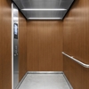 3M Di-Noc Film décoratif d'intérieur WG-878 - Wood Grain, 1220 mm x 50 m