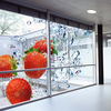 Arlon DPF 6000RP Clear – Film vinyle coulé transparent 50µ, adhésif permanent fort tack pour impression numérique.