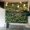 Coala Deco Wall S