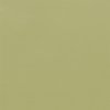 Coala Interior film Colours RM19 - Light Olive Grain - couleur unie
