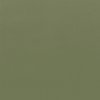 Coala Interior film Colours RM21 - Army Green - couleur unie